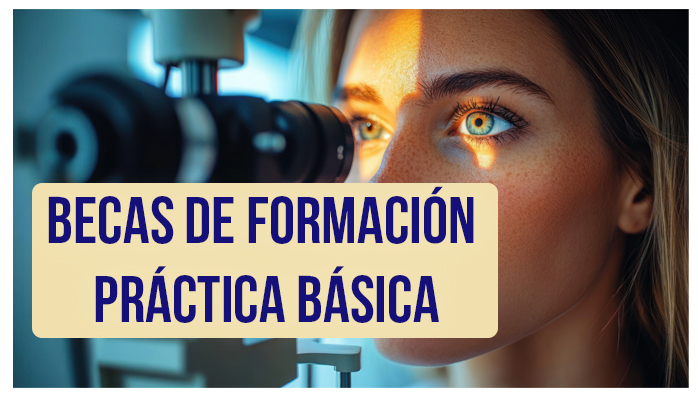 BECAS DE FORMACIÓN PRÁCTICA